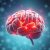 Choroby neurodegeneracyjne: objawy, diagnostyka i leczenie